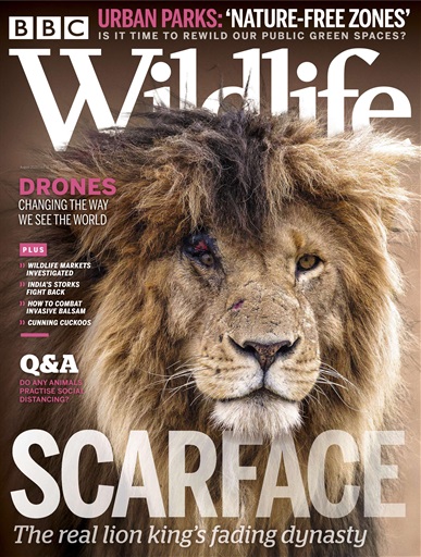 BBC Wildlife Magazine issue 
