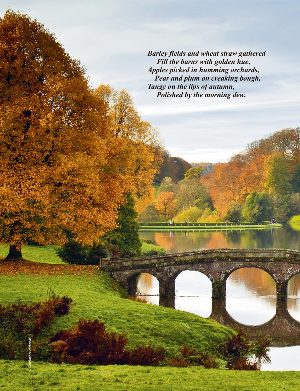 This England Preview Pages