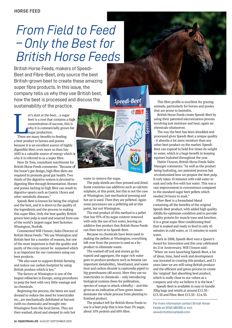 Equestrian Life Magazine Preview Pages