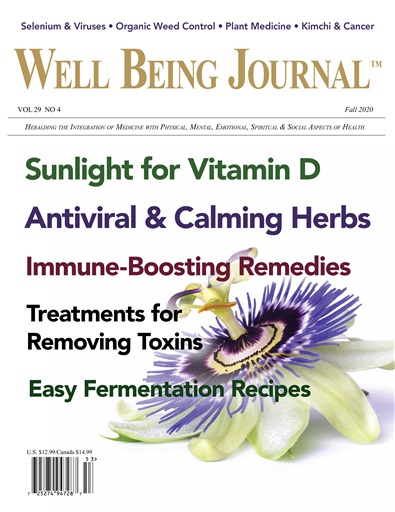 Well Being Journal issue 