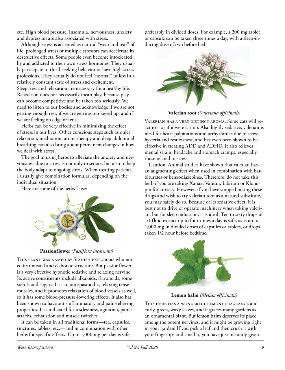 Well Being Journal Preview Pages