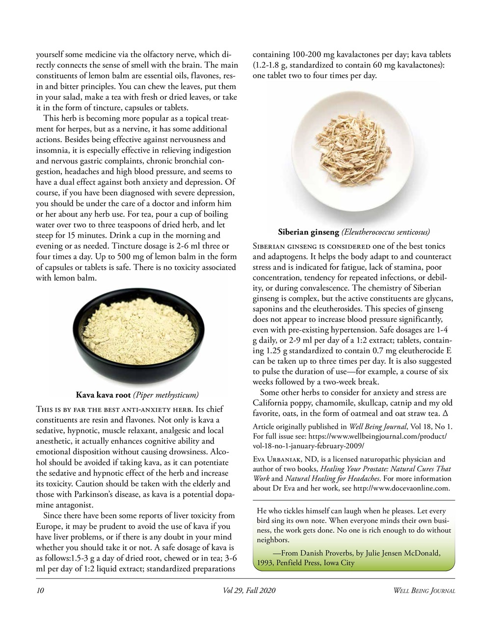 Well Being Journal Preview Pages