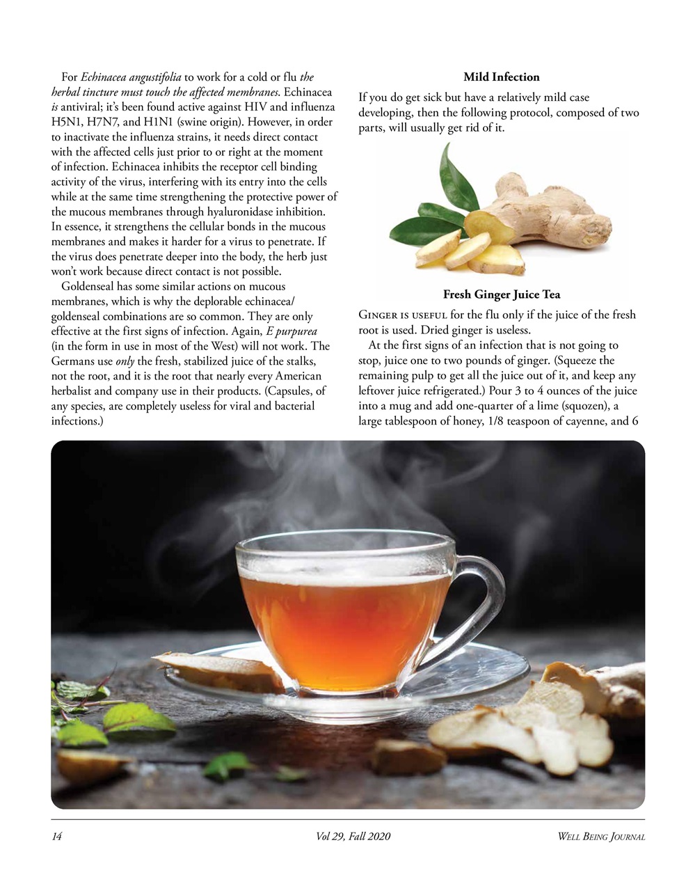 Well Being Journal Preview Pages