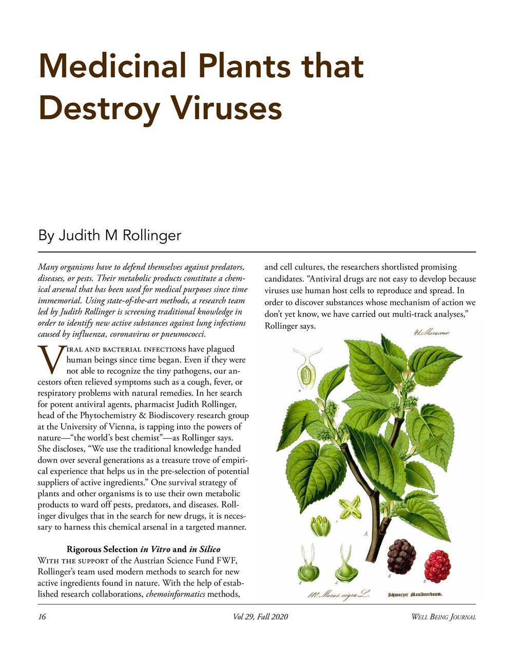 Well Being Journal Preview Pages