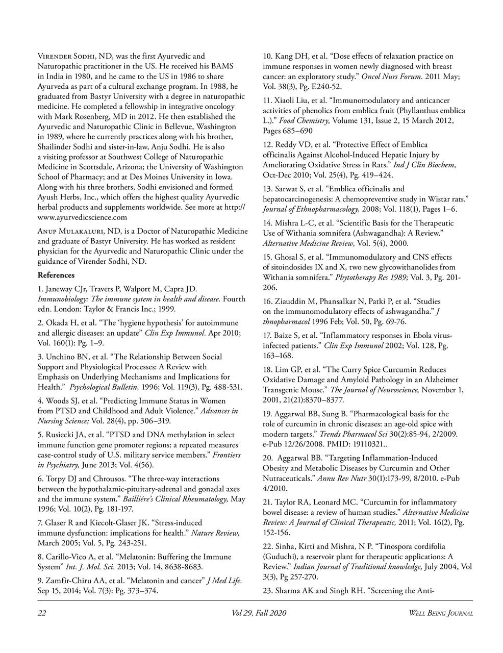 Well Being Journal Preview Pages