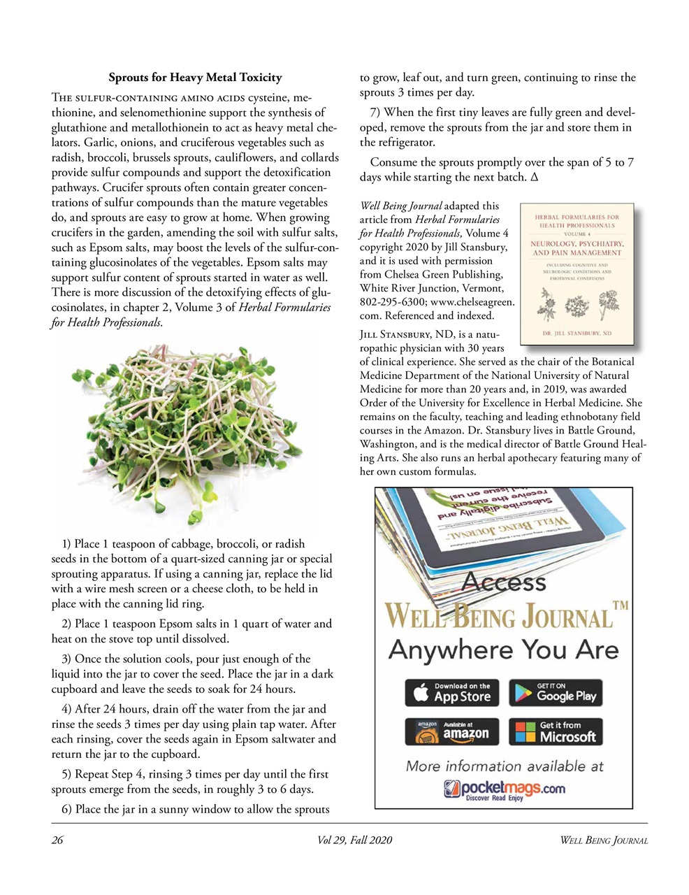 Well Being Journal Preview Pages