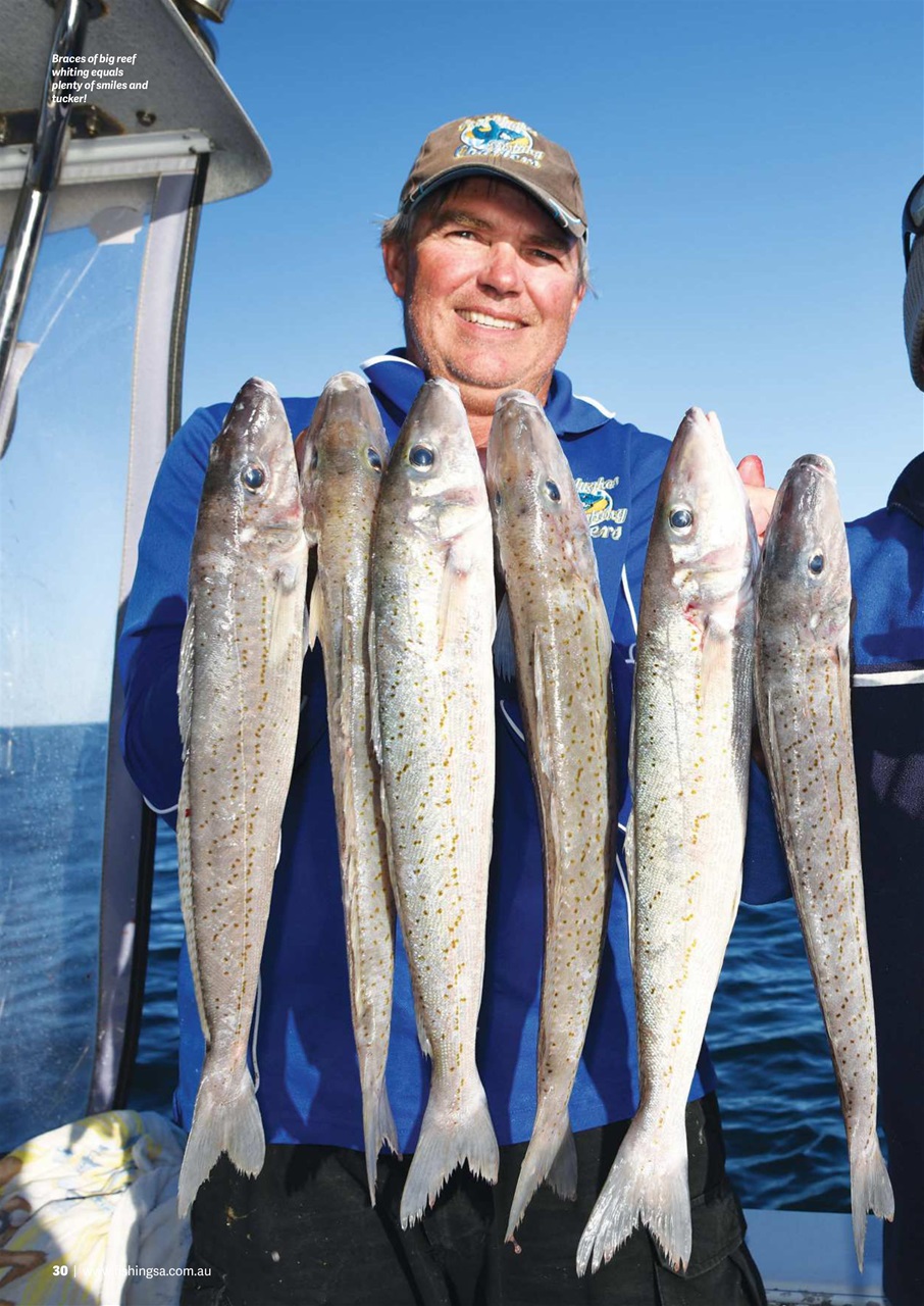 Fishing SA Preview Pages