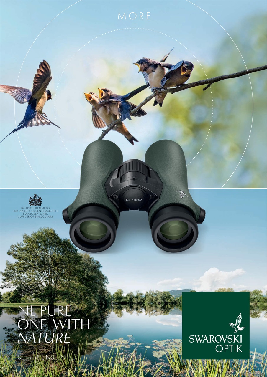 Scottish Field Preview Pages