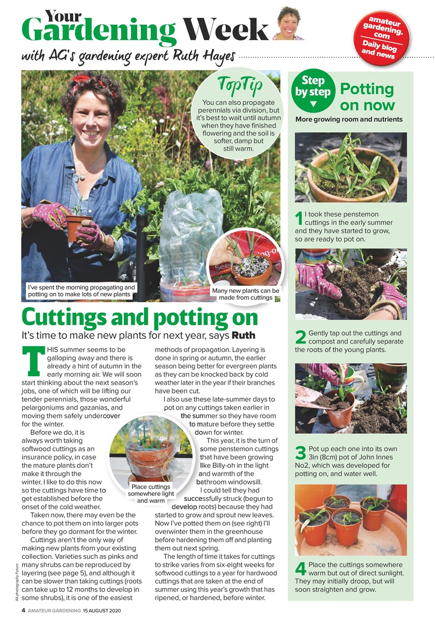 Amateur Gardening Preview Pages
