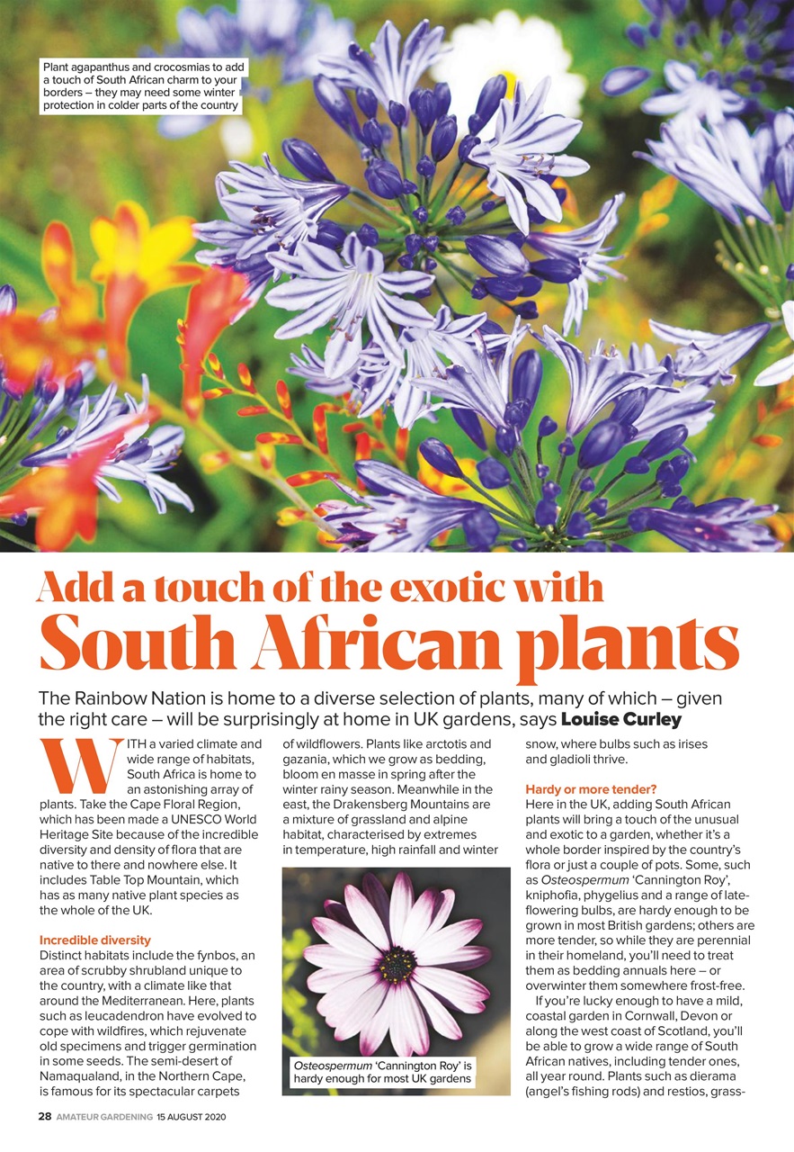 Amateur Gardening Preview Pages