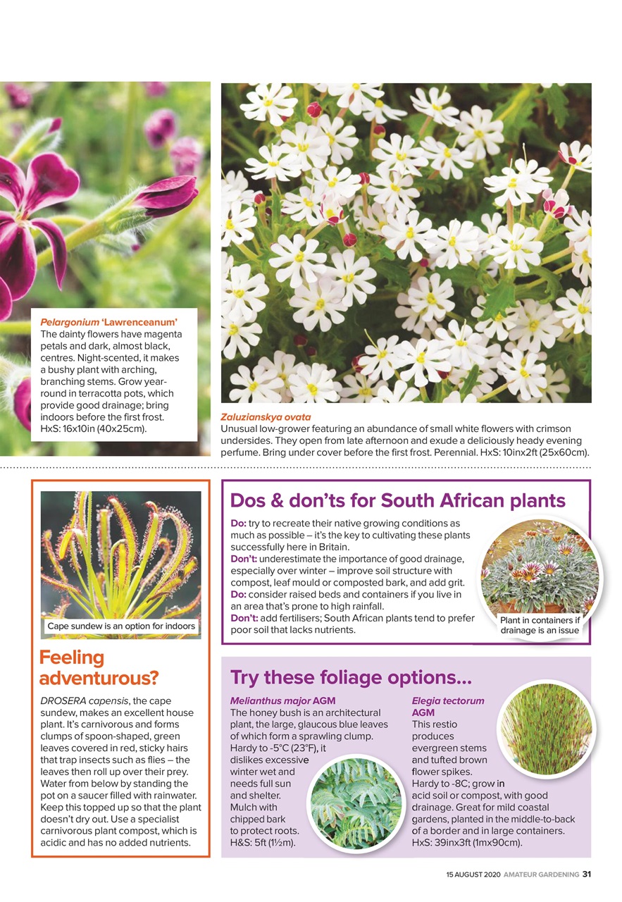 Amateur Gardening Preview Pages