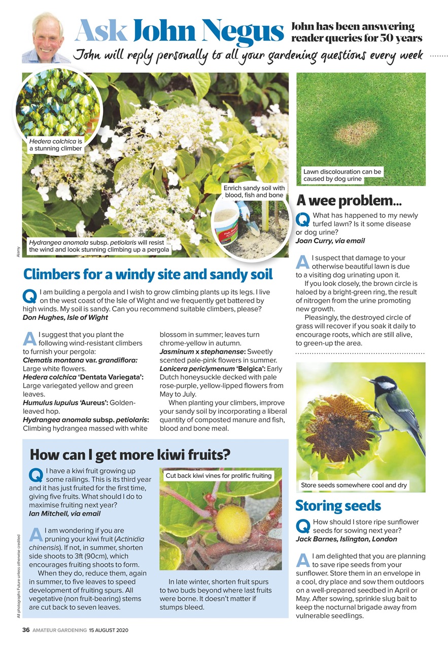 Amateur Gardening Preview Pages