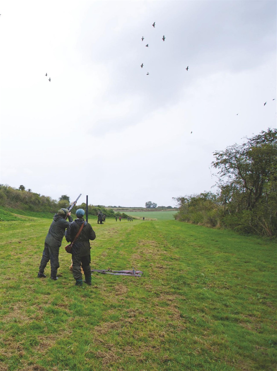 The Field Preview Pages