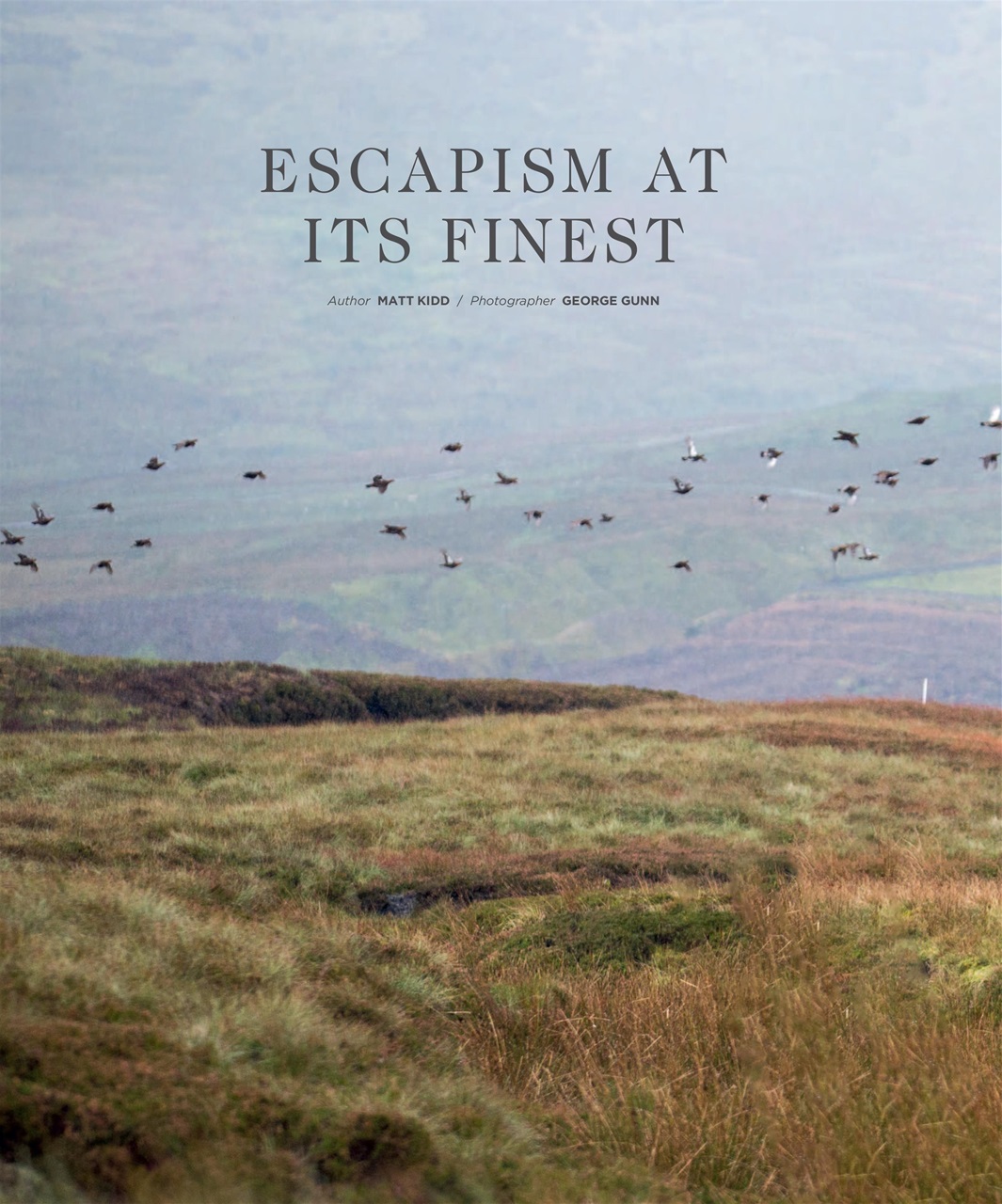 Fieldsports Journal Preview Pages