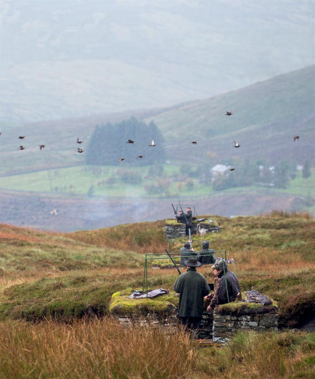 Fieldsports Journal Preview Pages