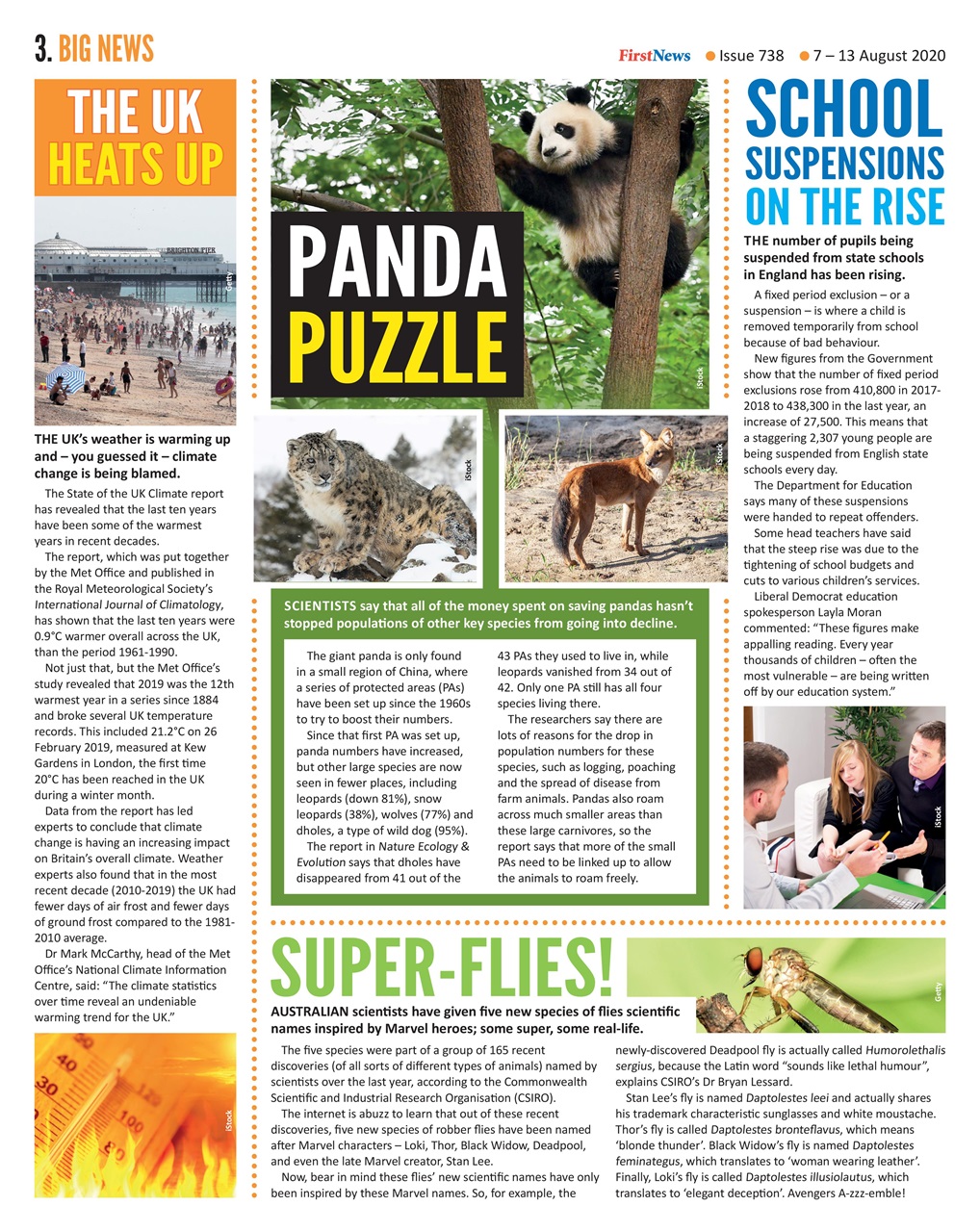 First News Preview Pages