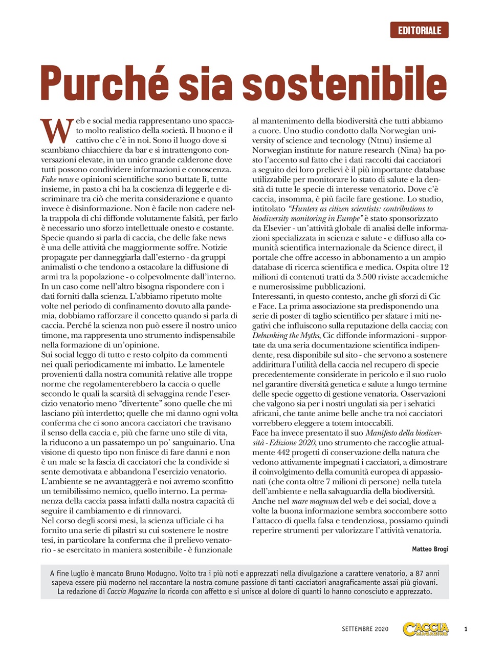 Caccia Magazine Preview Pages