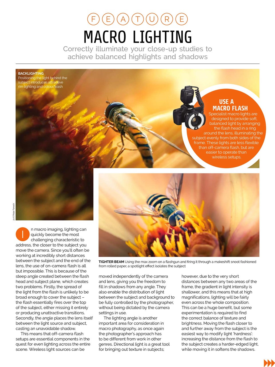 Photography Week Preview Pages