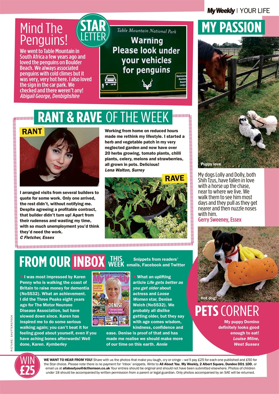 My Weekly Preview Pages