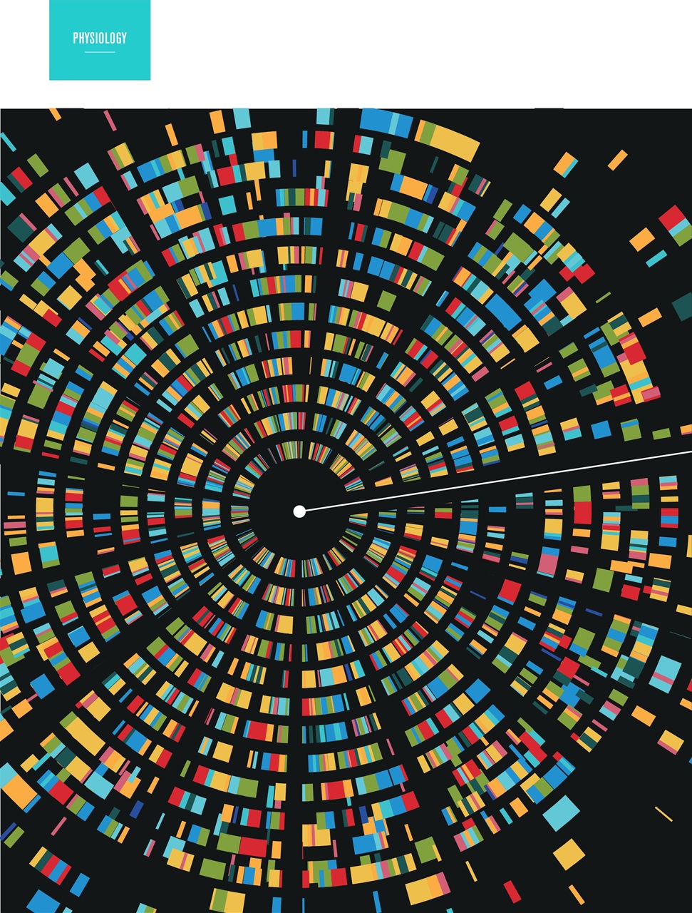 Row360 Preview Pages