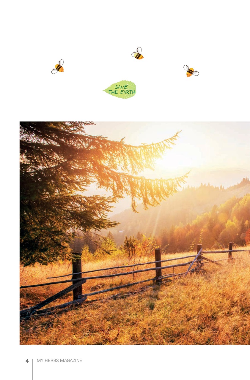 My Herbs Magazine Preview Pages