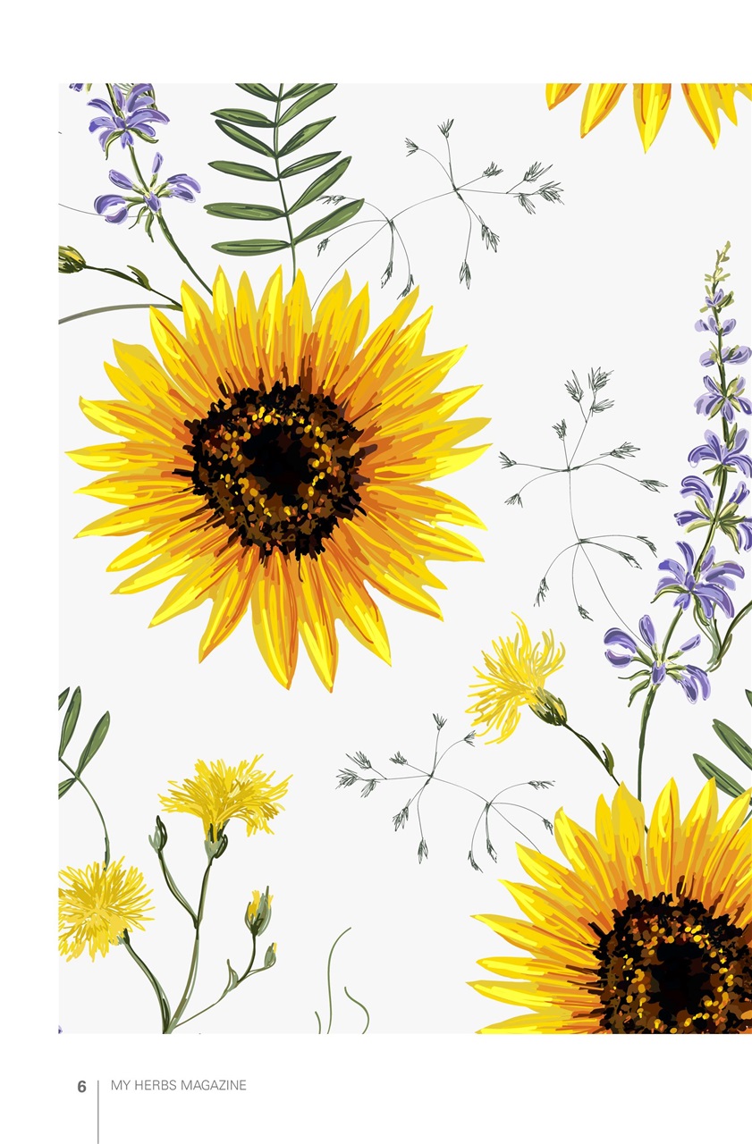 My Herbs Magazine Preview Pages