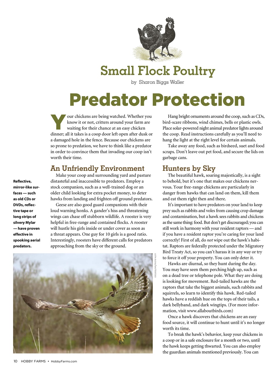 Hobby Farms Magazine Preview Pages