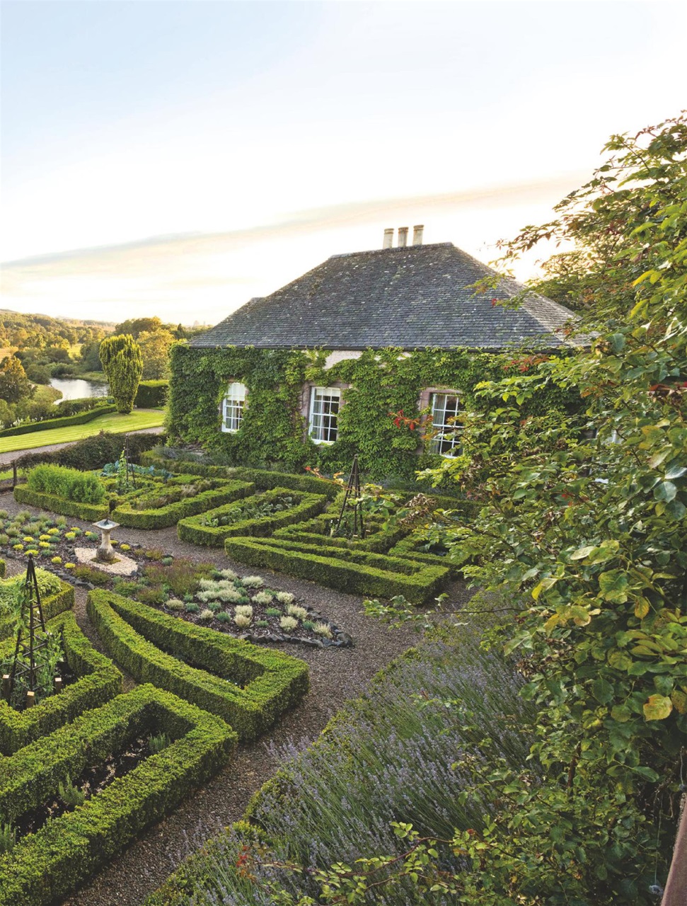 Country Life Preview Pages