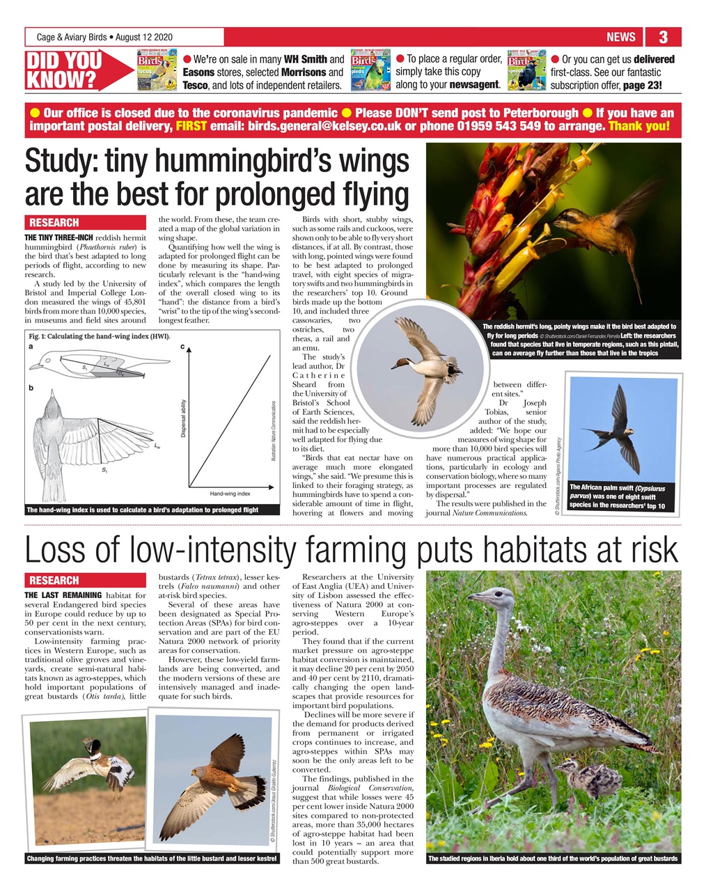 Cage & Aviary Birds Preview Pages