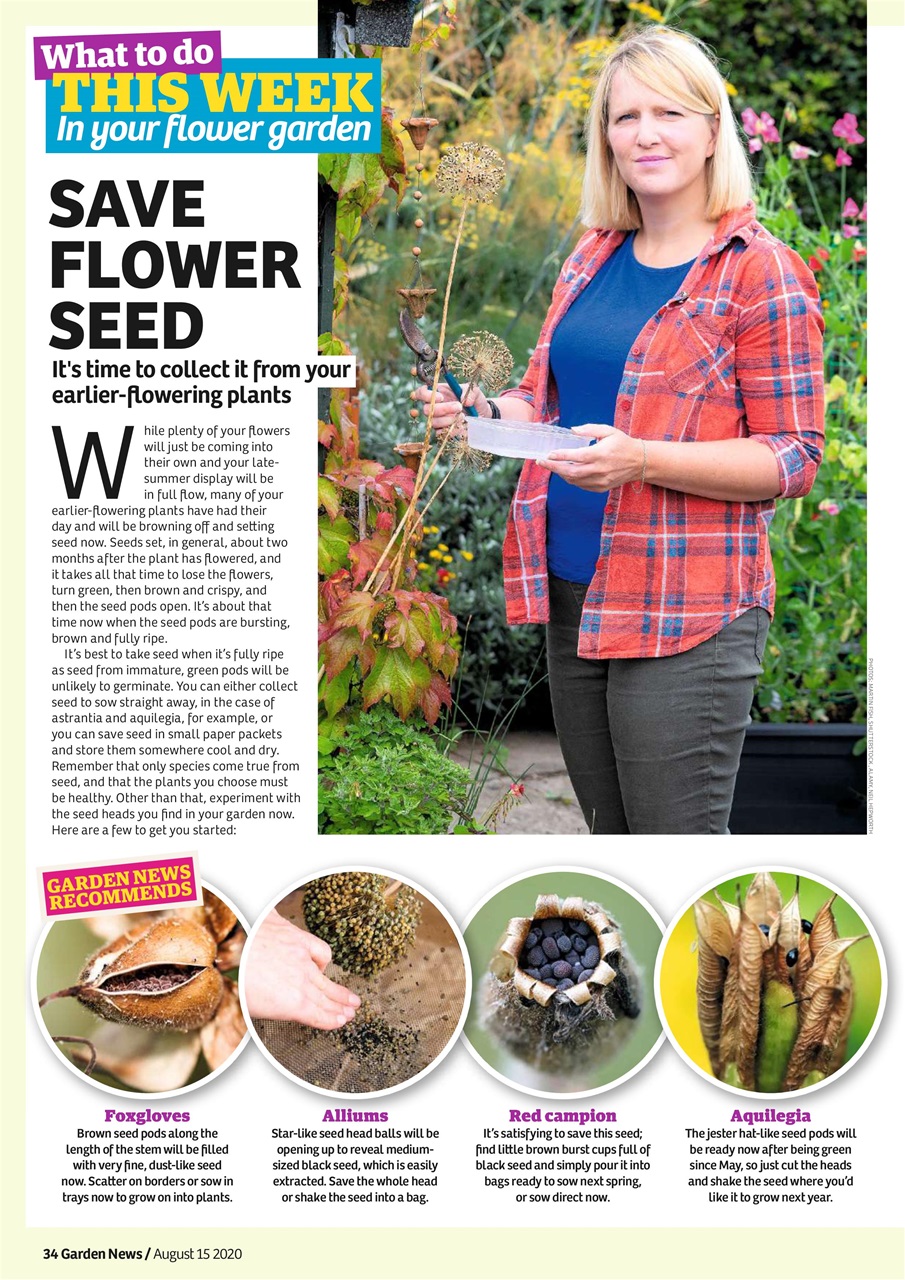 Garden News Preview Pages