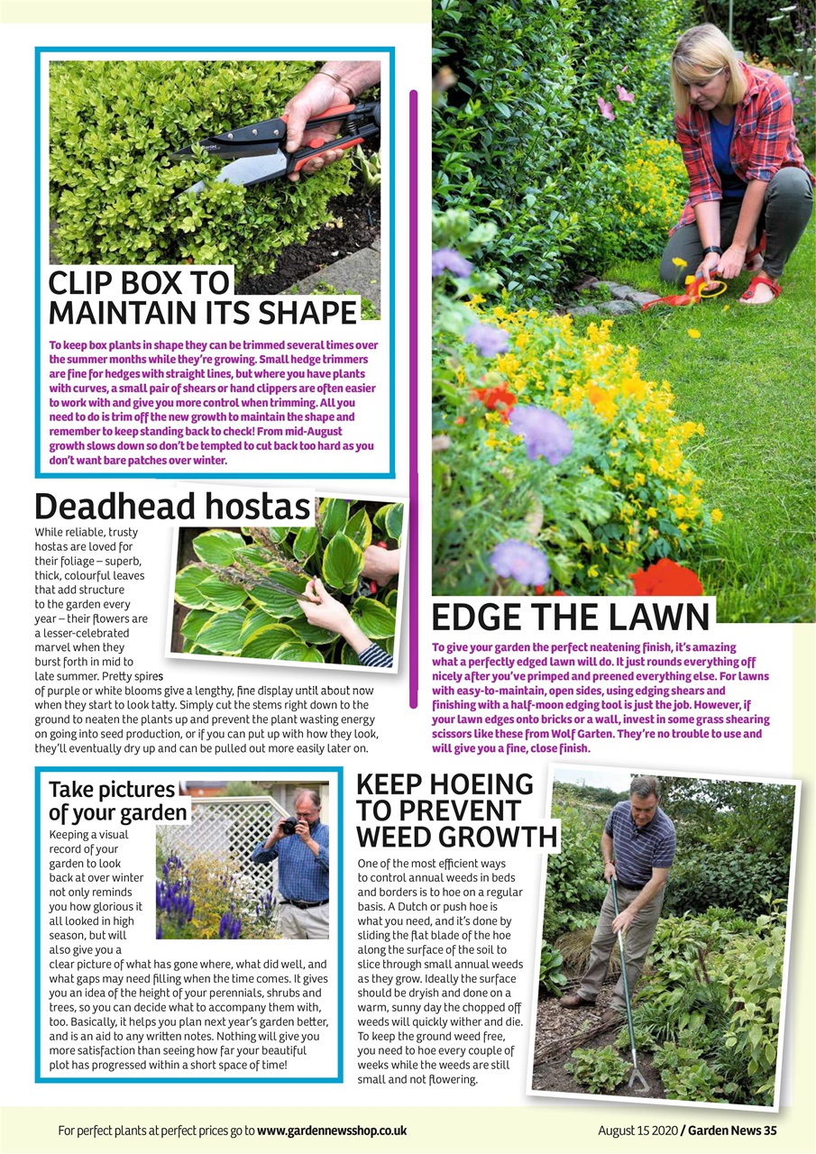 Garden News Preview Pages