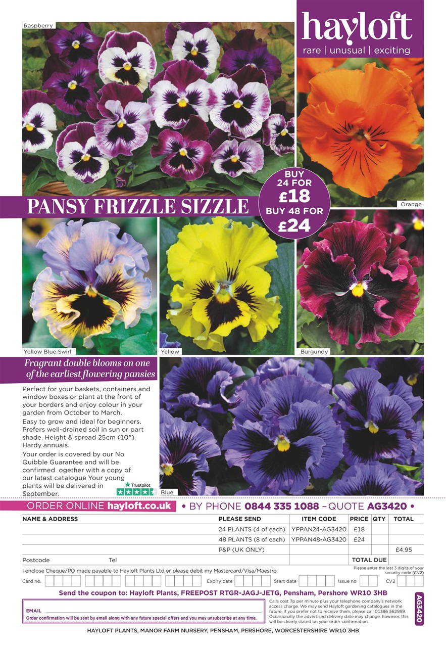 Amateur Gardening Preview Pages