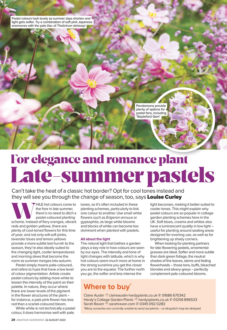 Amateur Gardening Preview Pages