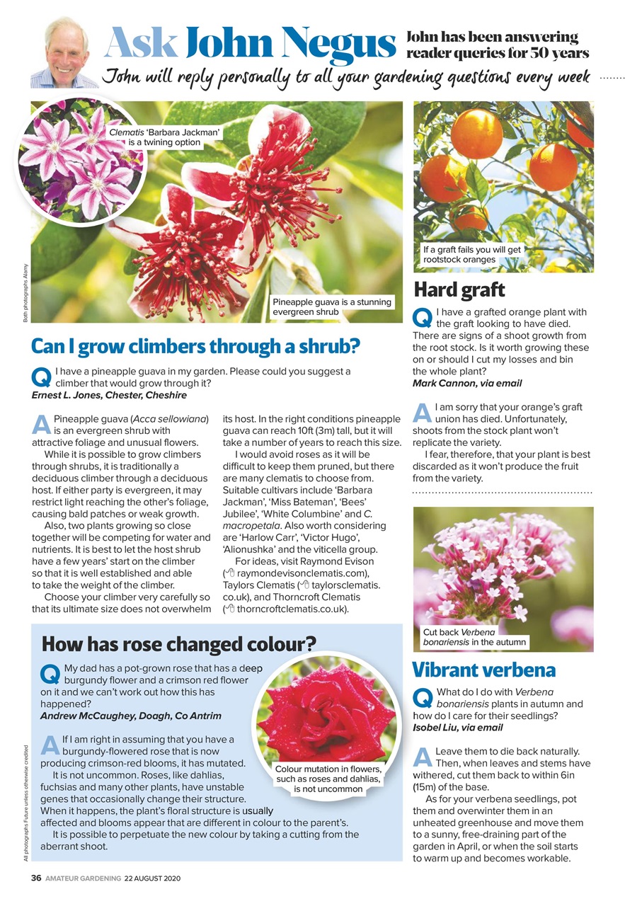 Amateur Gardening Preview Pages