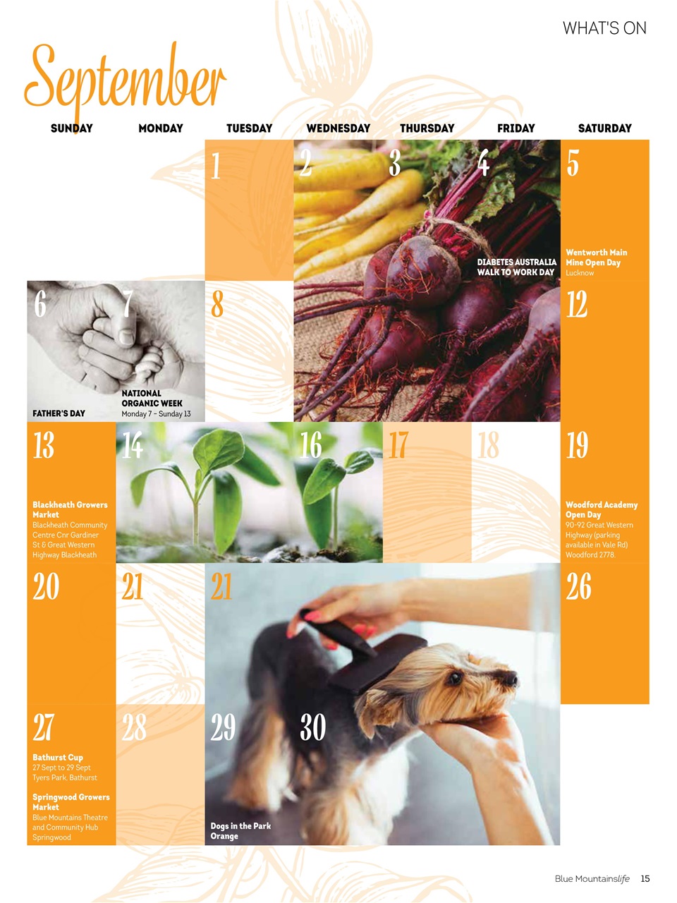 Blue Mountains Life Preview Pages