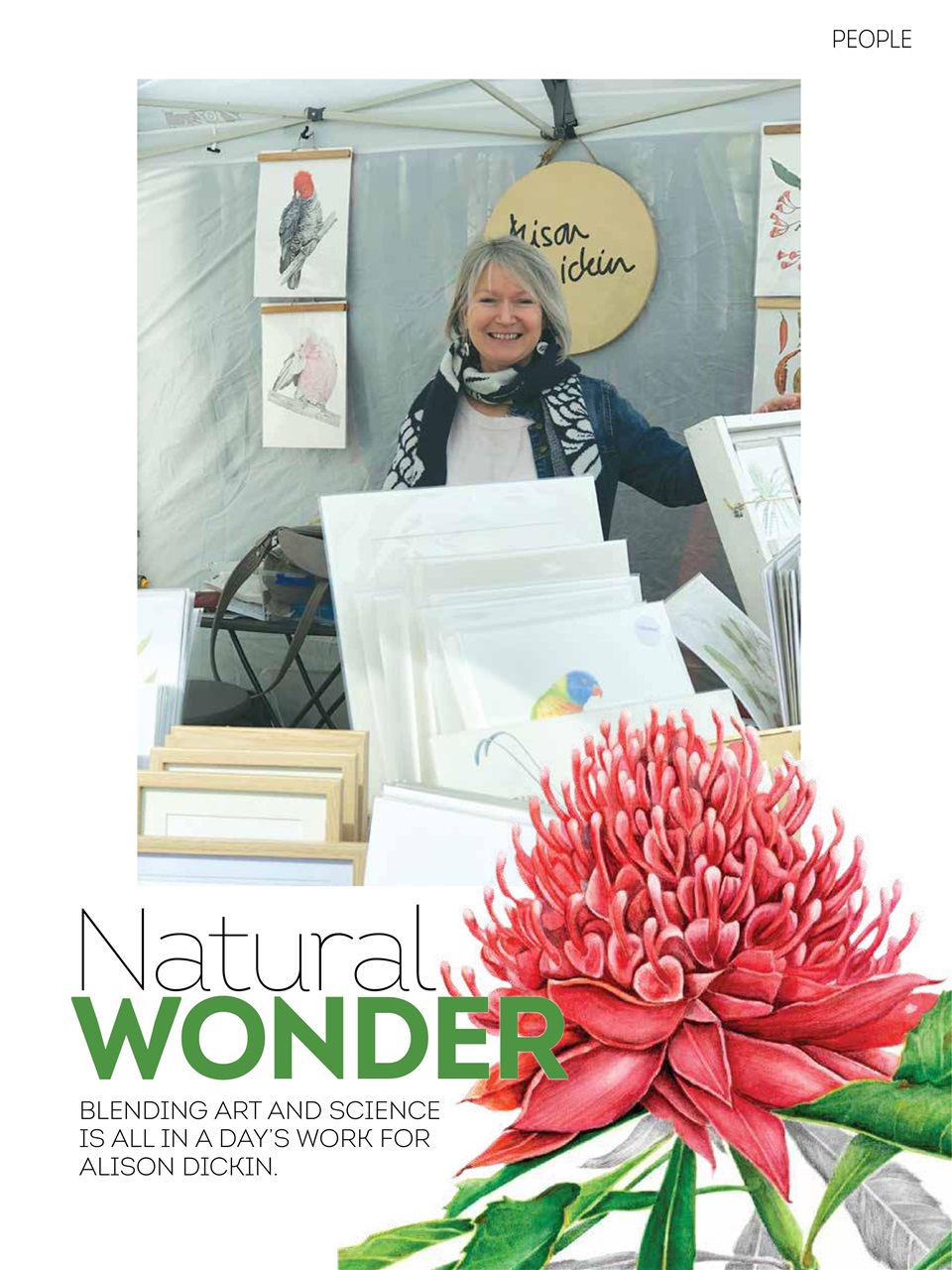 Blue Mountains Life Preview Pages