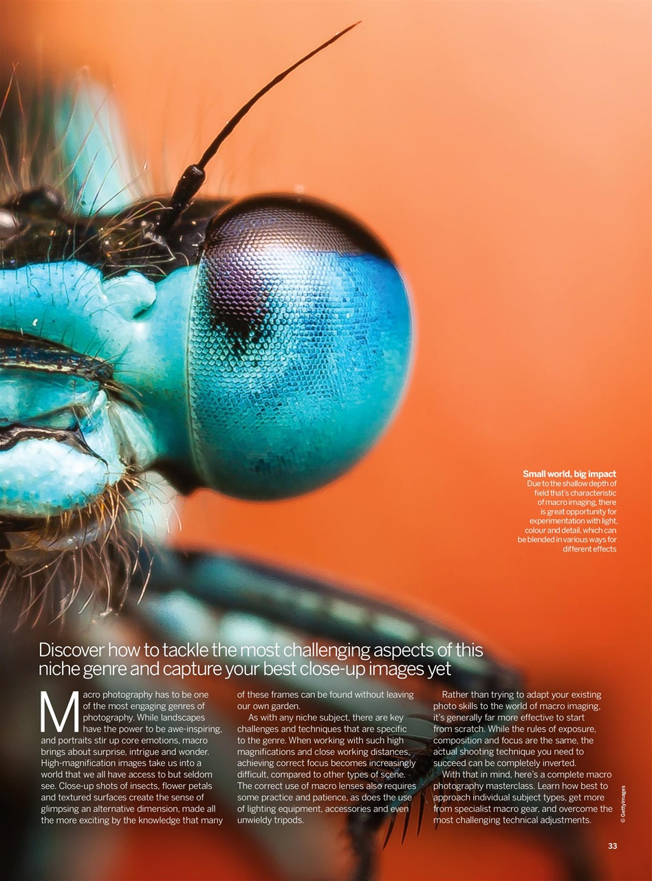 Digital Photographer Preview Pages