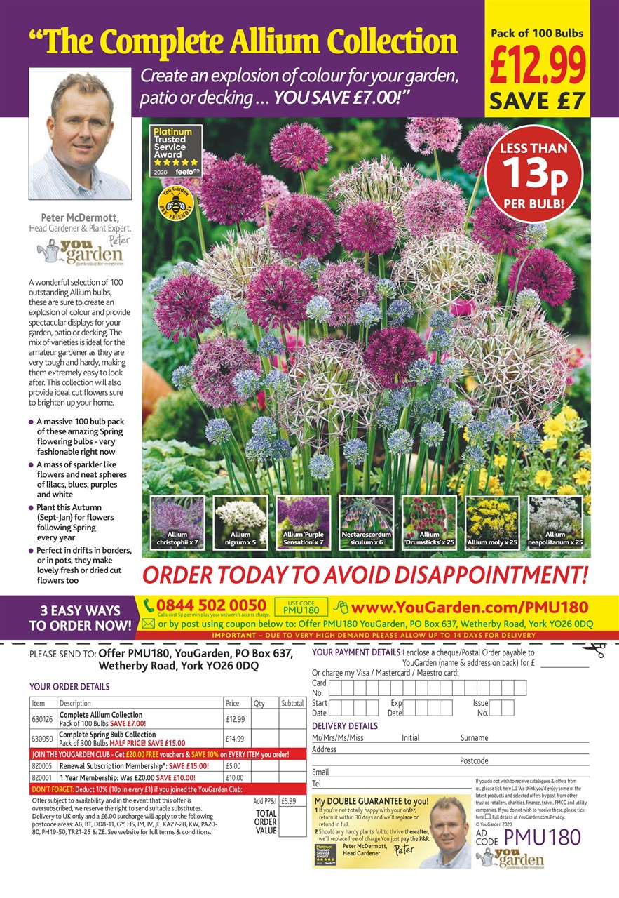 Pick Me Up Preview Pages