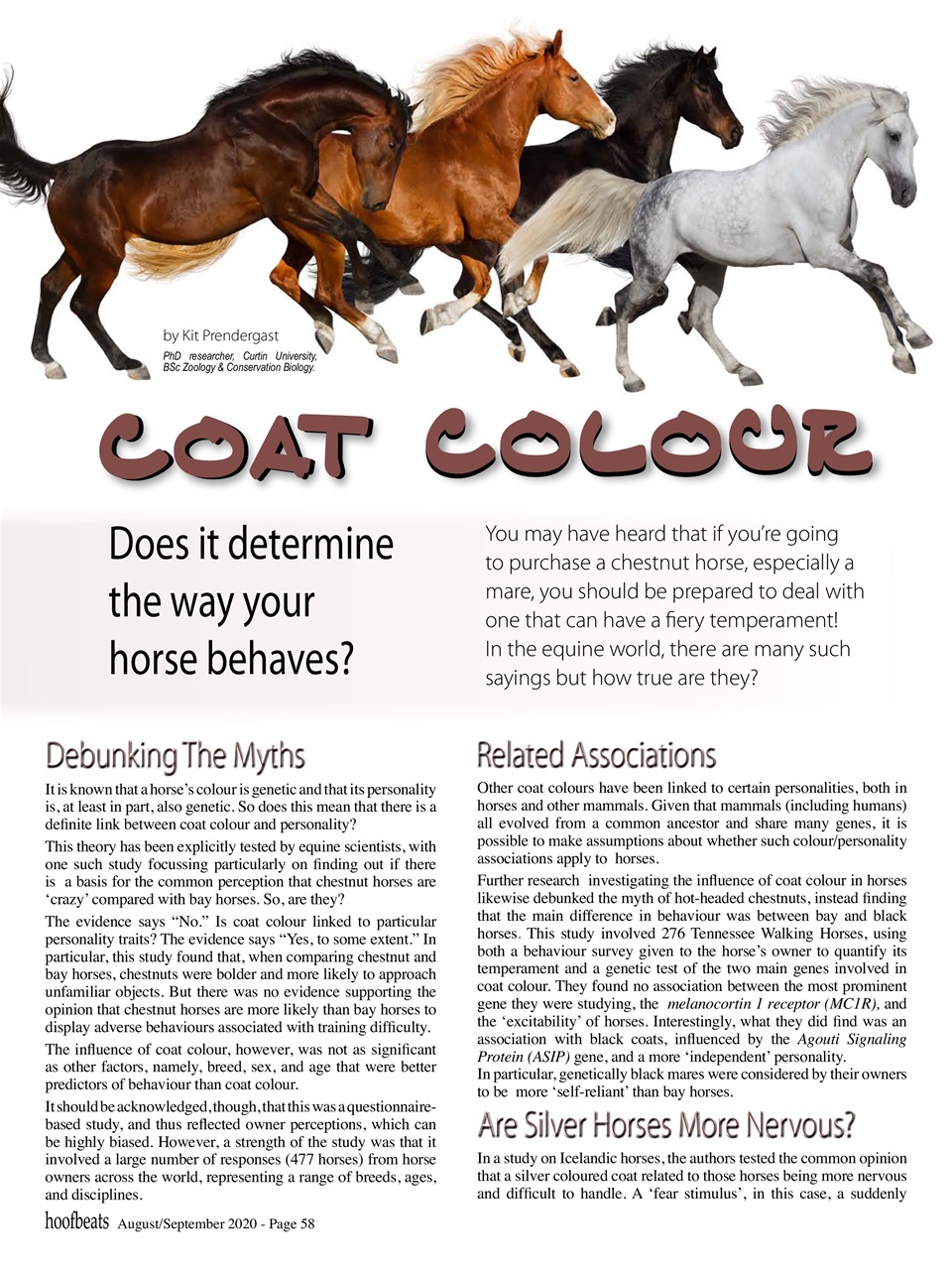 Hoofbeats Preview Pages