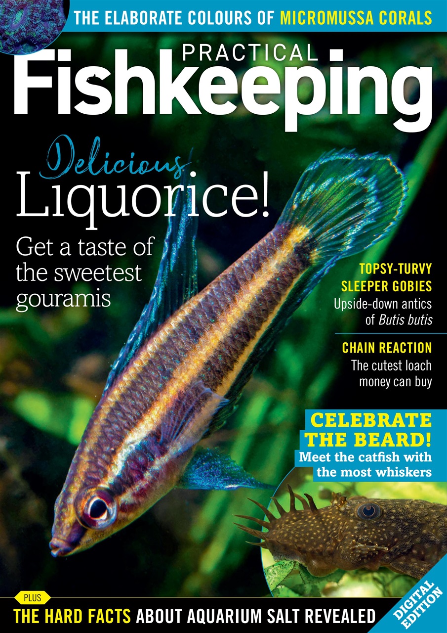 Practical Fishkeeping Preview Pages