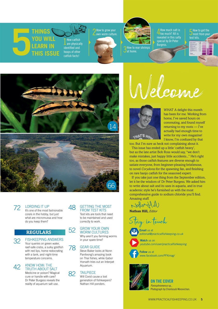 Practical Fishkeeping Preview Pages