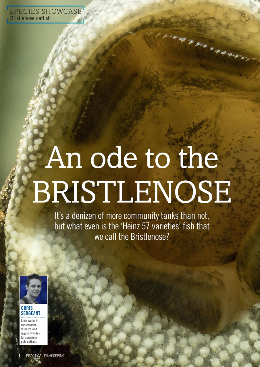 Practical Fishkeeping Preview Pages