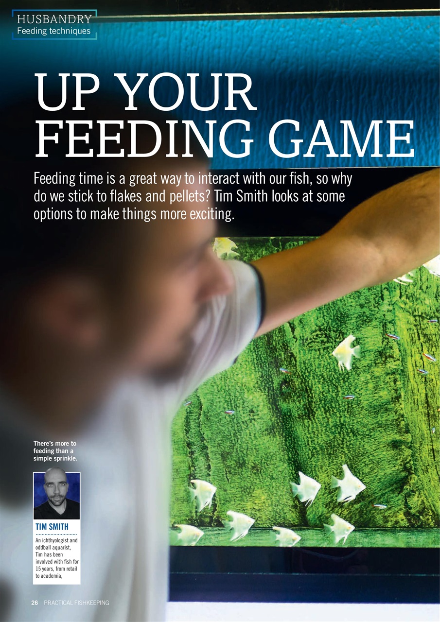 Practical Fishkeeping Preview Pages