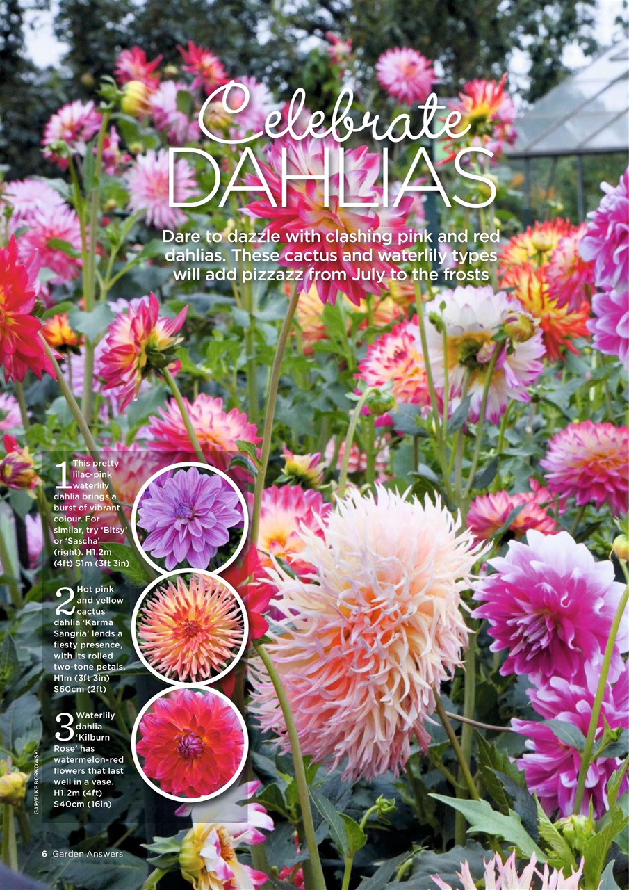 Garden Answers Preview Pages