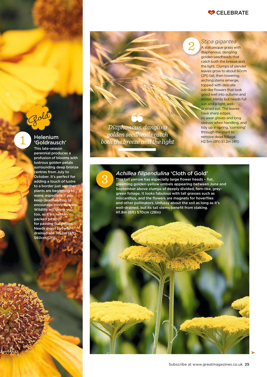 Garden Answers Preview Pages