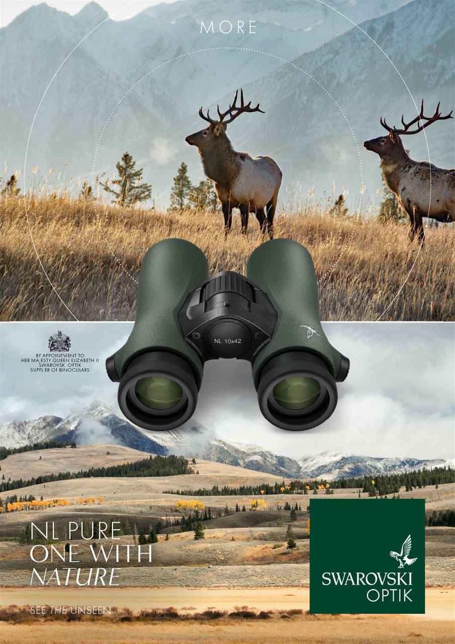 Sporting Rifle Preview Pages