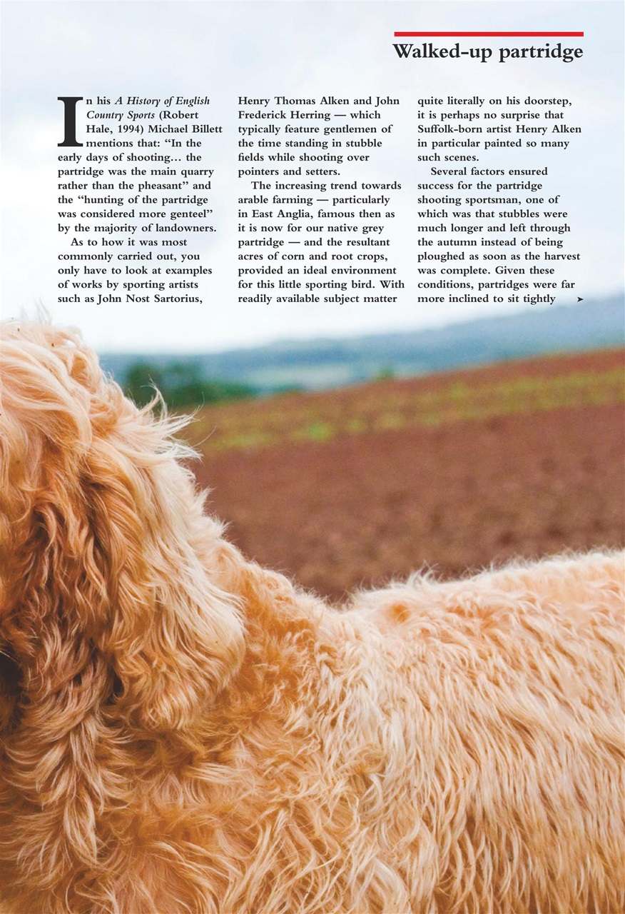 Shooting Gazette Preview Pages