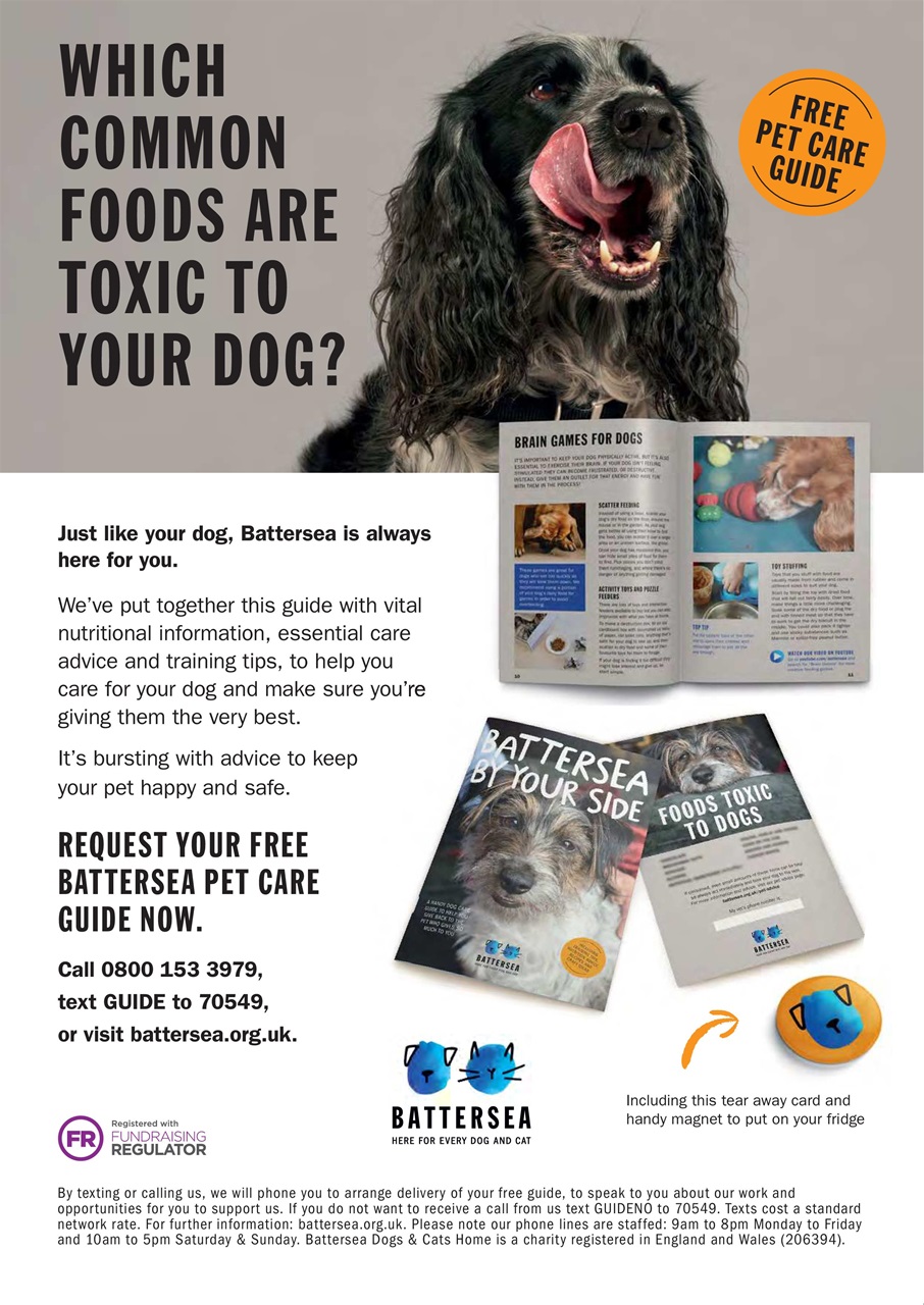 Dogs Today Magazine Preview Pages