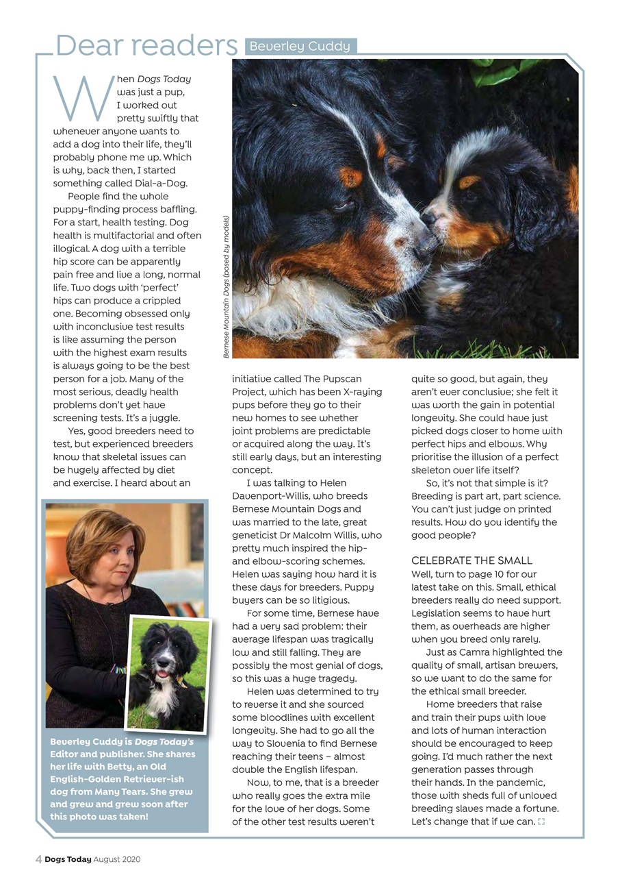 Dogs Today Magazine Preview Pages