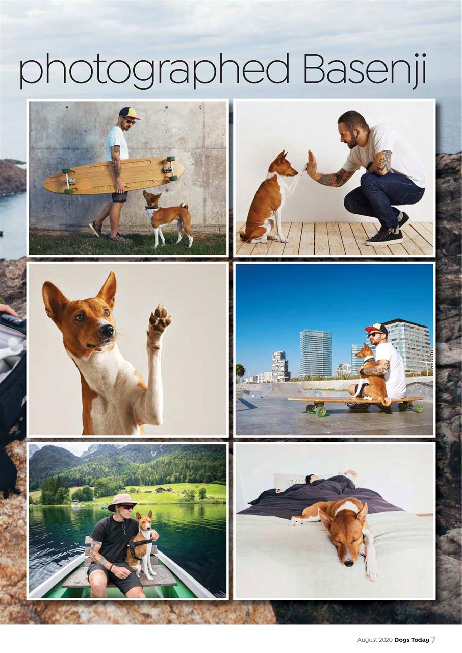 Dogs Today Magazine Preview Pages